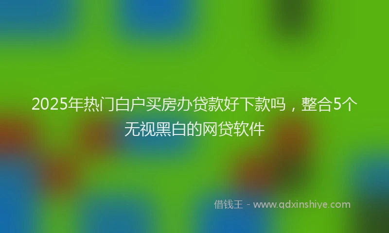 2025年热门白户买房办贷款好下款吗,整合5个无视黑白的网贷软件
