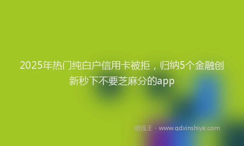 2025年热门纯白户信用卡被拒，归纳5个金融创新秒下不要芝麻分的app