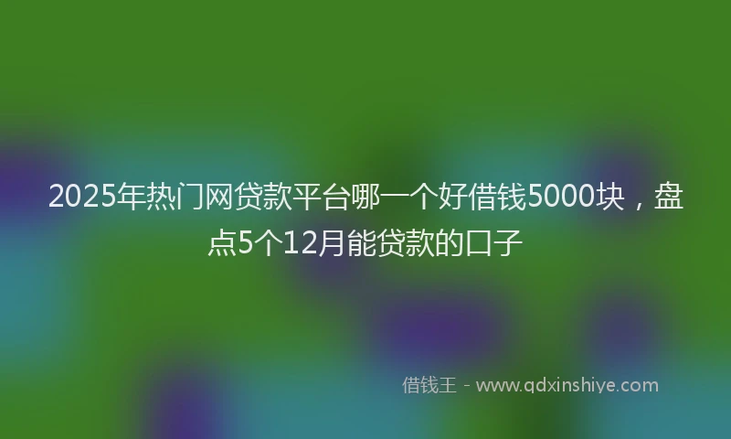 2025年热门网贷款平台哪一个好借钱5000块，盘点5个12月能贷款的口子