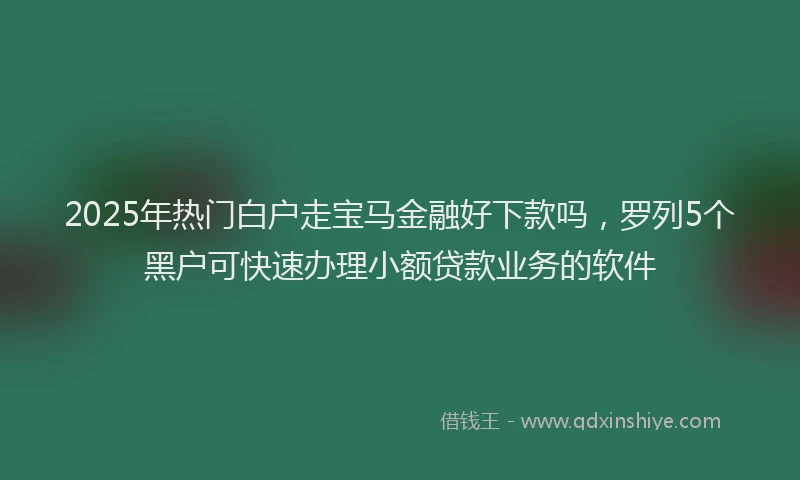 2025年热门白户走宝马金融好下款吗，罗列5个黑户可快速办理小额贷款业务的软件