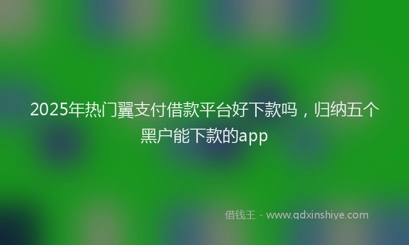 2025年热门翼支付借款平台好下款吗，归纳五个黑户能下款的app