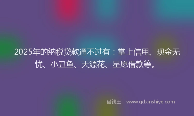 2025年的纳税贷款通不过有：掌上信用、现金无忧、小丑鱼、天源花、星愿借款等。