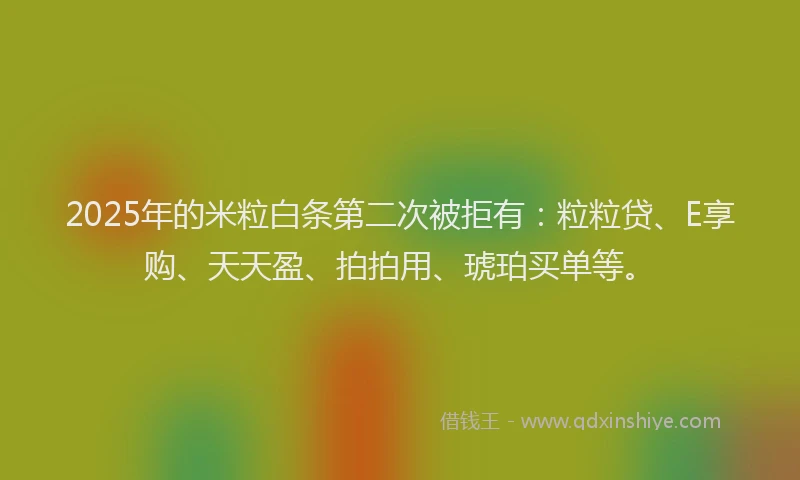 2025年的米粒白条第二次被拒有：粒粒贷、E享购、天天盈、拍拍用、琥珀买单等。