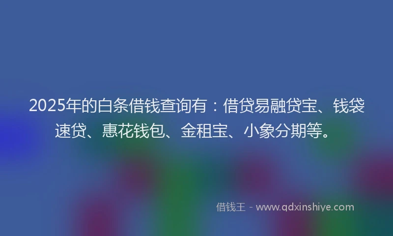 2025年的白条借钱查询有：借贷易融贷宝、钱袋速贷、惠花钱包、金租宝、小象分期等。