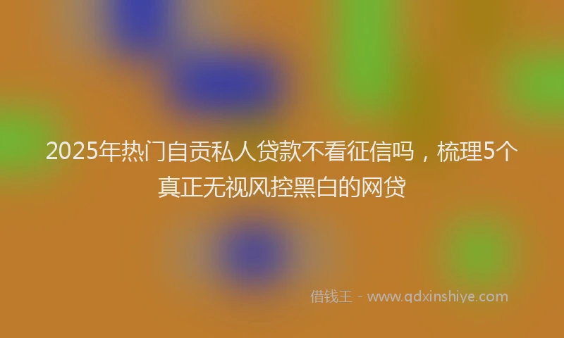 2025年热门自贡私人贷款不看征信吗，梳理5个真正无视风控黑白的网贷