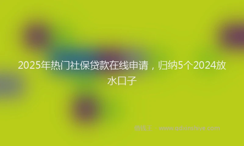 2025年热门社保贷款在线申请，归纳5个2024放水口子