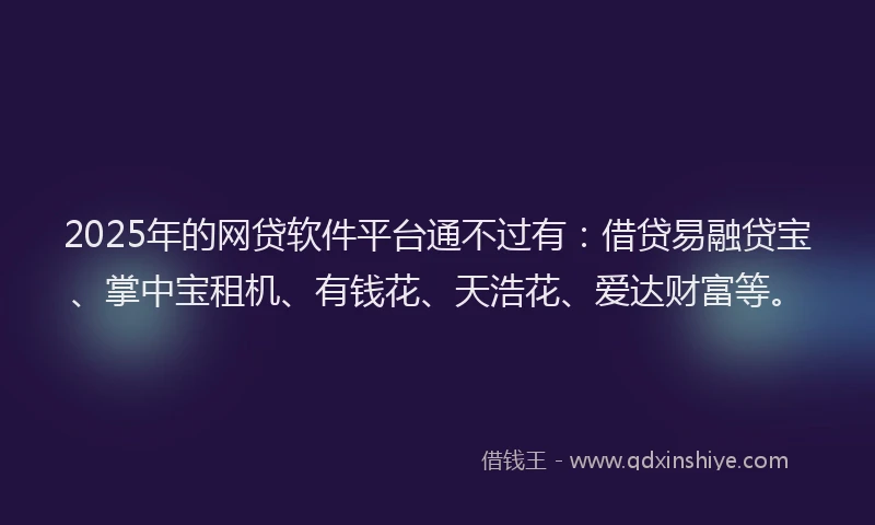 2025年的网贷软件平台通不过有：借贷易融贷宝、掌中宝租机、有钱花、天浩花、爱达财富等。