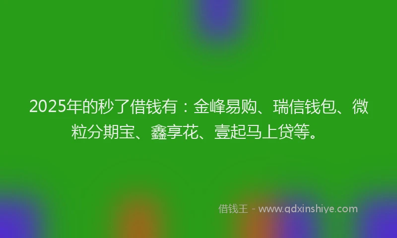 2025年的秒了借钱有：金峰易购、瑞信钱包、微粒分期宝、鑫享花、壹起马上贷等。