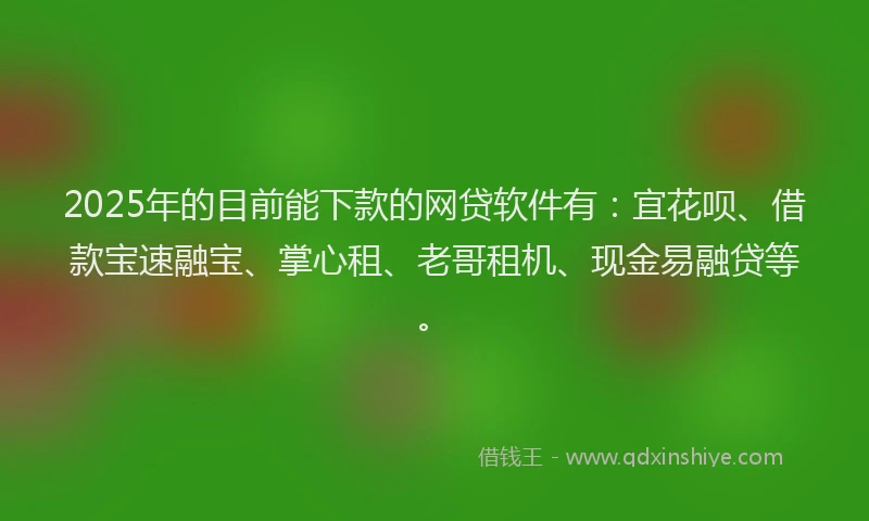 2025年的目前能下款的网贷软件有：宜花呗、借款宝速融宝、掌心租、老哥租机、现金易融贷等。