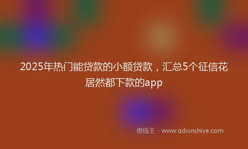2025年热门能贷款的小额贷款，汇总5个征信花居然都下款的app