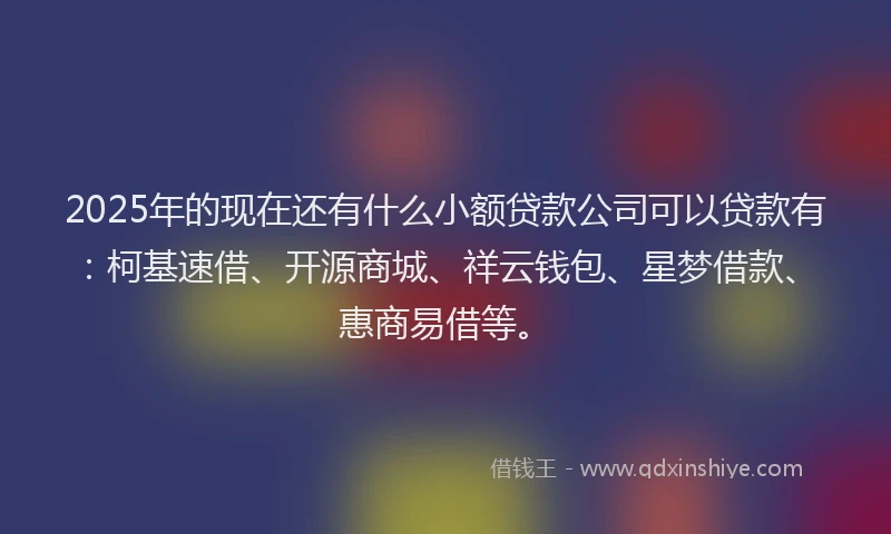2025年的现在还有什么小额贷款公司可以贷款有：柯基速借、开源商城、祥云钱包、星梦借款、惠商易借等。