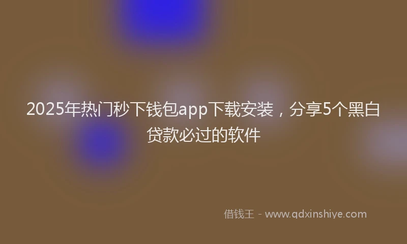 2025年热门秒下钱包app下载安装，分享5个黑白贷款必过的软件