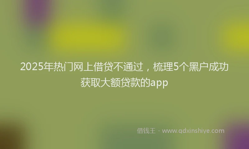 2025年热门网上借贷不通过，梳理5个黑户成功获取大额贷款的app