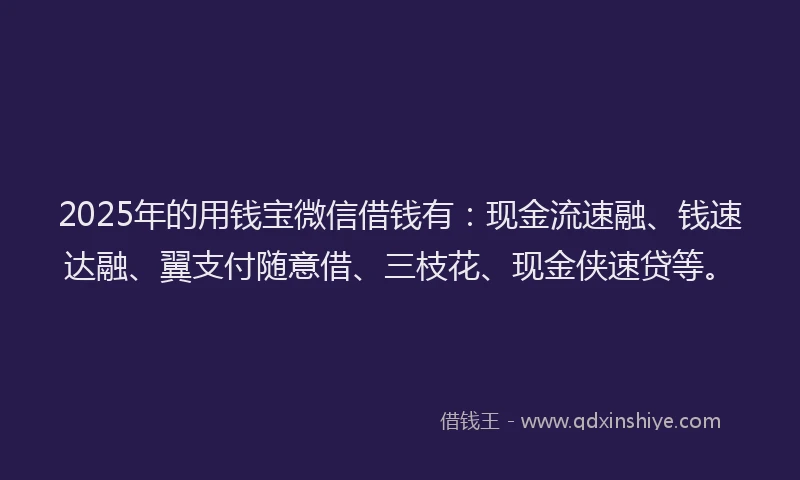 2025年的用钱宝微信借钱有：现金流速融、钱速达融、翼支付随意借、三枝花、现金侠速贷等。