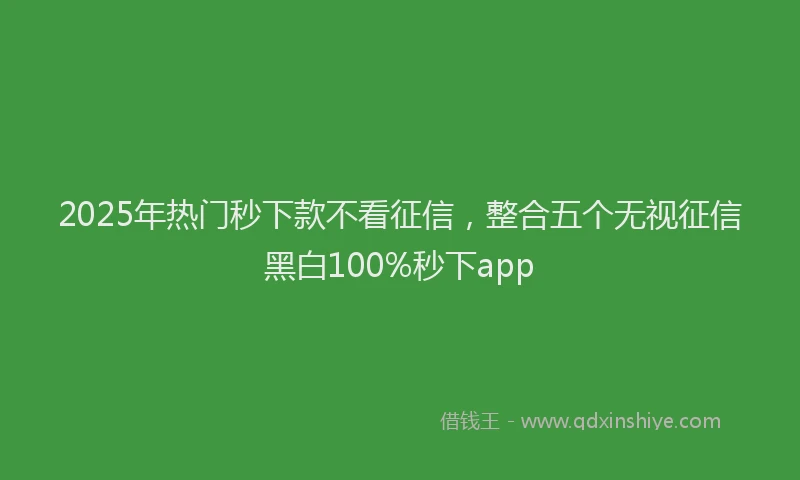 2025年热门秒下款不看征信，整合五个无视征信黑白100%秒下app