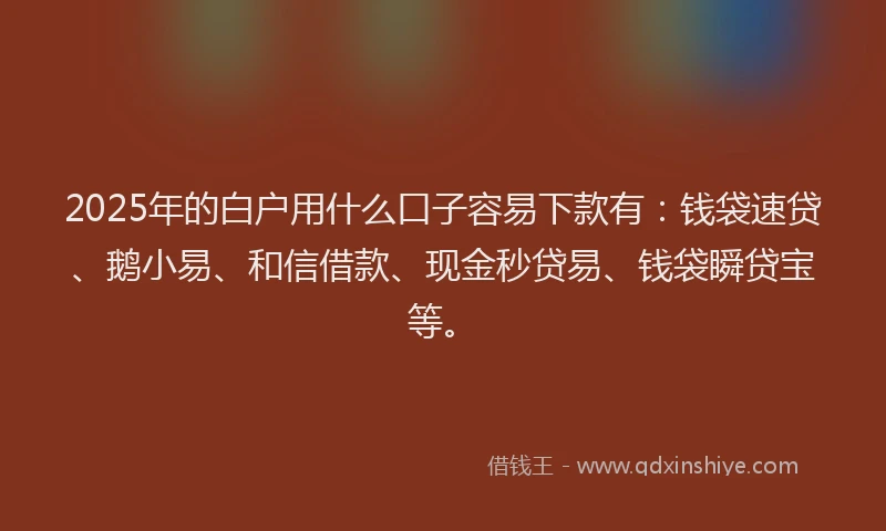 2025年的白户用什么口子容易下款有：钱袋速贷、鹅小易、和信借款、现金秒贷易、钱袋瞬贷宝等。