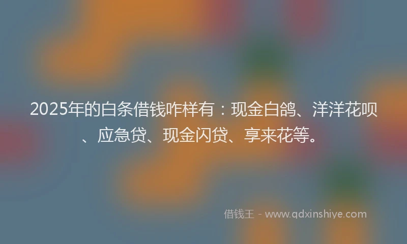 2025年的白条借钱咋样有：现金白鸽、洋洋花呗、应急贷、现金闪贷、享来花等。