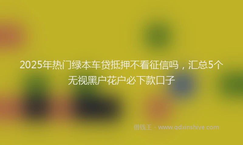 2025年热门绿本车贷抵押不看征信吗，汇总5个无视黑户花户必下款口子
