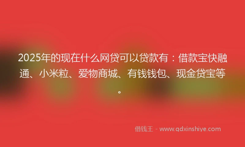 2025年的现在什么网贷可以贷款有:借款宝快融通、小米粒、爱物商城、有钱钱包、现金贷宝等。