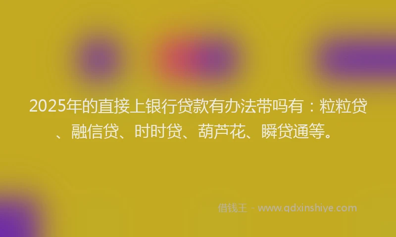 2025年的直接上银行贷款有办法带吗有：粒粒贷、融信贷、时时贷、葫芦花、瞬贷通等。