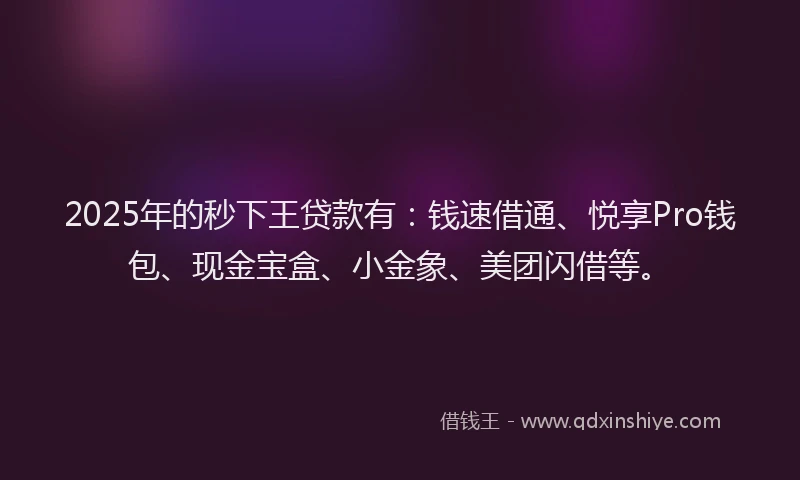 2025年的秒下王贷款有：钱速借通、悦享Pro钱包、现金宝盒、小金象、美团闪借等。