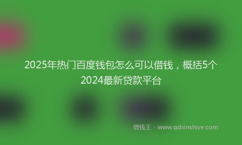 2025年热门百度钱包怎么可以借钱，概括5个2024最新贷款平台