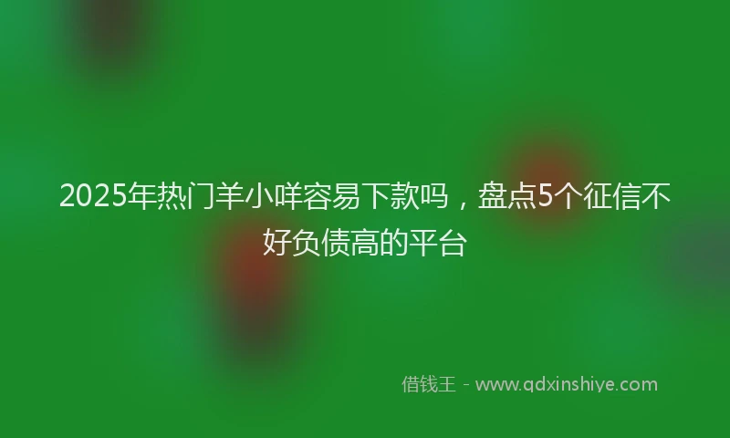 2025年热门羊小咩容易下款吗，盘点5个征信不好负债高的平台