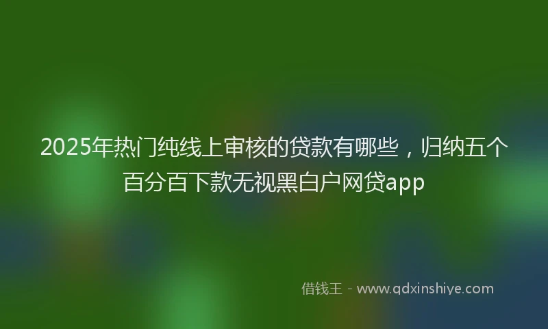 2025年热门纯线上审核的贷款有哪些，归纳五个百分百下款无视黑白户网贷app