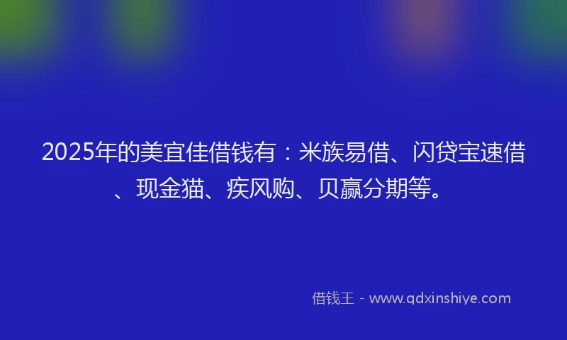 2025年的美宜佳借钱有：米族易借、闪贷宝速借、现金猫、疾风购、贝赢分期等。
