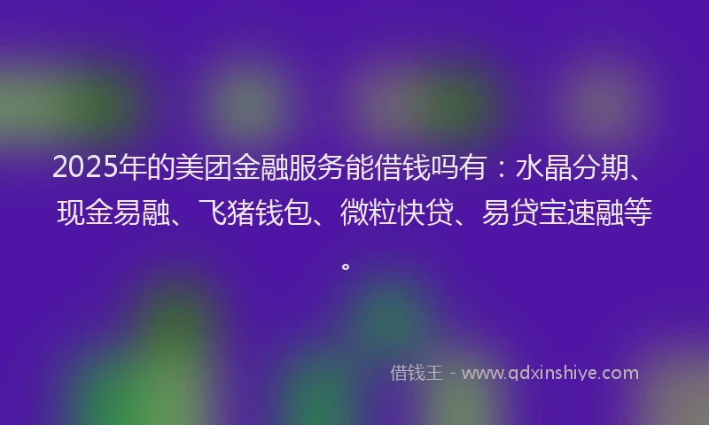 2025年的美团金融服务能借钱吗有：水晶分期、现金易融、飞猪钱包、微粒快贷、易贷宝速融等。