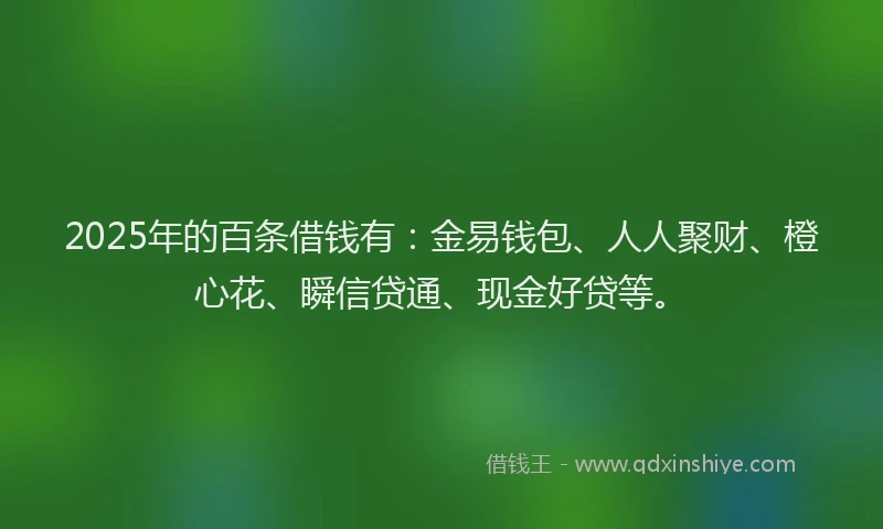 2025年的百条借钱有：金易钱包、人人聚财、橙心花、瞬信贷通、现金好贷等。