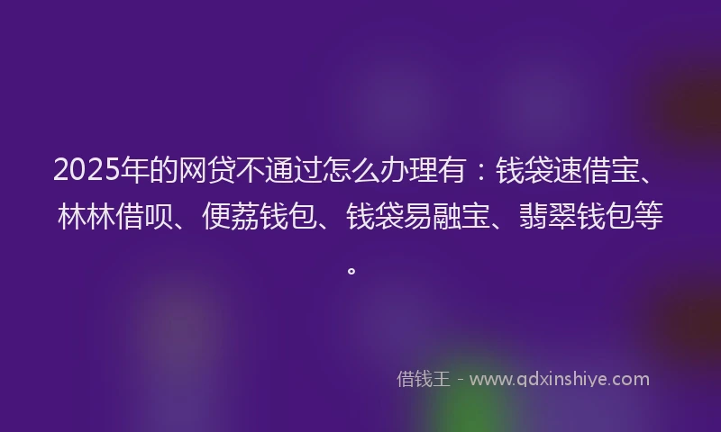 2025年的网贷不通过怎么办理有：钱袋速借宝、林林借呗、便荔钱包、钱袋易融宝、翡翠钱包等。