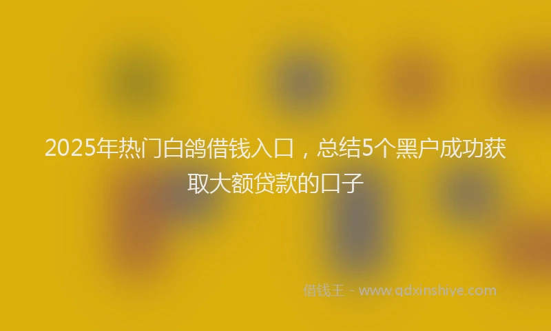 2025年热门白鸽借钱入口，总结5个黑户成功获取大额贷款的口子