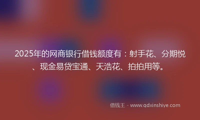 2025年的网商银行借钱额度有:射手花、分期悦、现金易贷宝通、天浩花、拍拍用等。