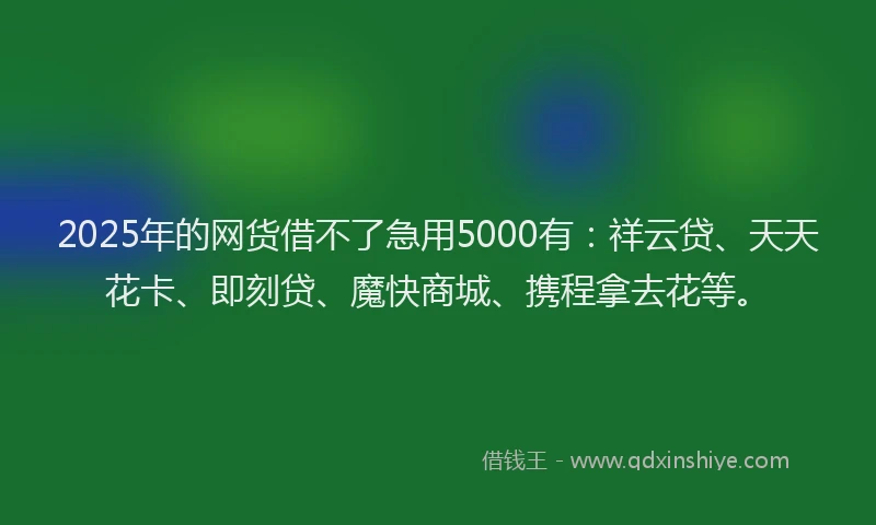 2025年的网货借不了急用5000有：祥云贷、天天花卡、即刻贷、魔快商城、携程拿去花等。