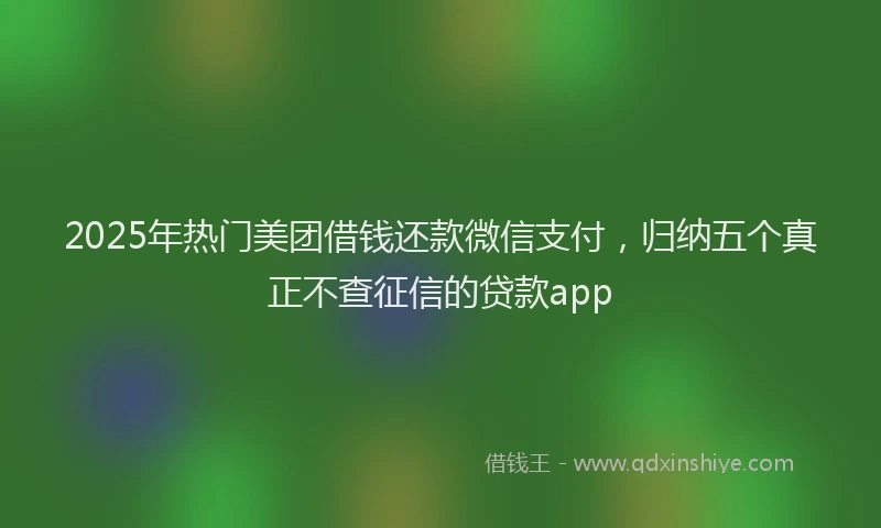 2025年热门美团借钱还款微信支付，归纳五个真正不查征信的贷款app
