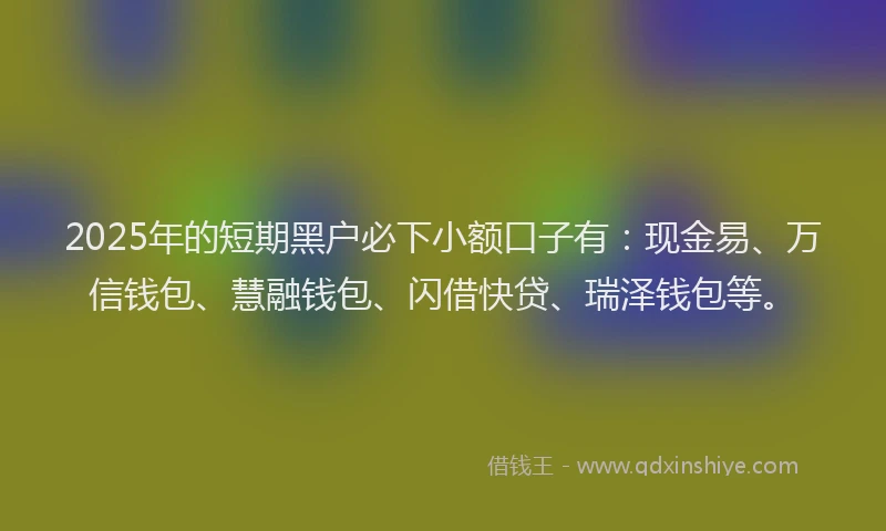 2025年的短期黑户必下小额口子有：现金易、万信钱包、慧融钱包、闪借快贷、瑞泽钱包等。