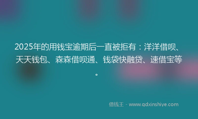 2025年的用钱宝逾期后一直被拒有:洋洋借呗、天天钱包、森森借呗通、钱袋快融贷、速借宝等。