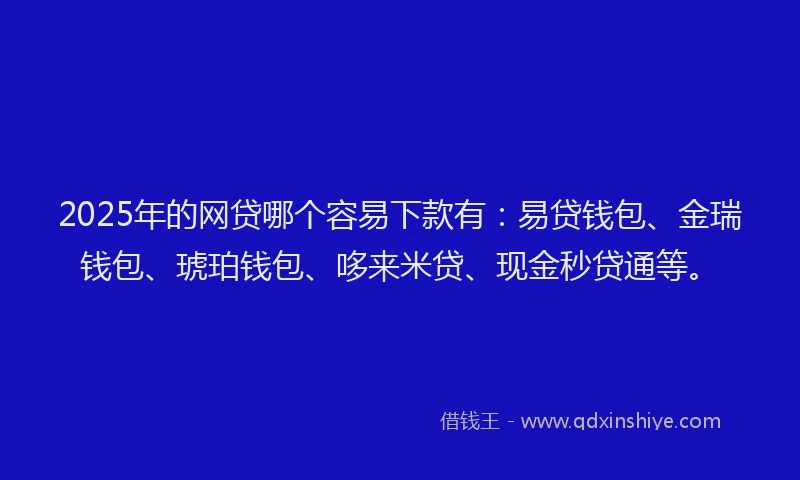2025年的网贷哪个容易下款有：易贷钱包、金瑞钱包、琥珀钱包、哆来米贷、现金秒贷通等。