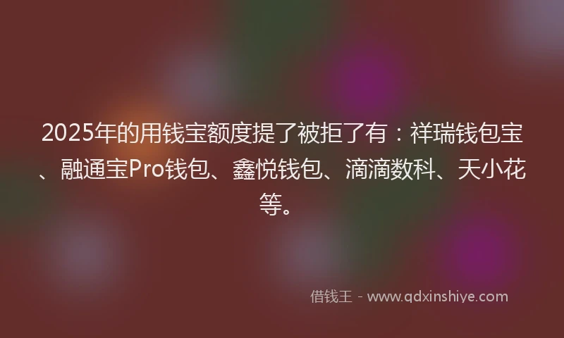2025年的用钱宝额度提了被拒了有：祥瑞钱包宝、融通宝Pro钱包、鑫悦钱包、滴滴数科、天小花等。