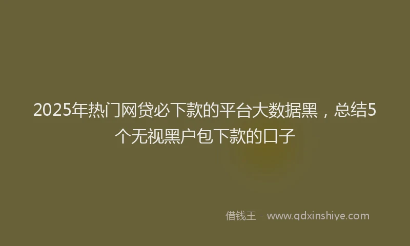 2025年热门网贷必下款的平台大数据黑，总结5个无视黑户包下款的口子