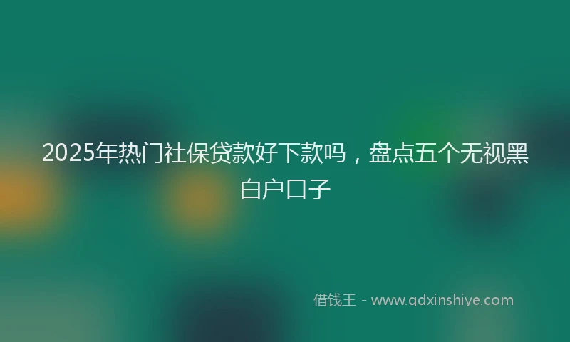 2025年热门社保贷款好下款吗，盘点五个无视黑白户口子