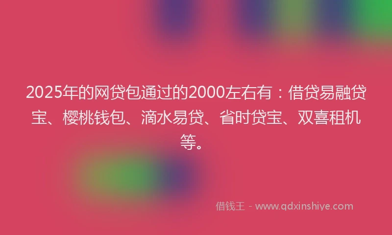 2025年的网贷包通过的2000左右有：借贷易融贷宝、樱桃钱包、滴水易贷、省时贷宝、双喜租机等。