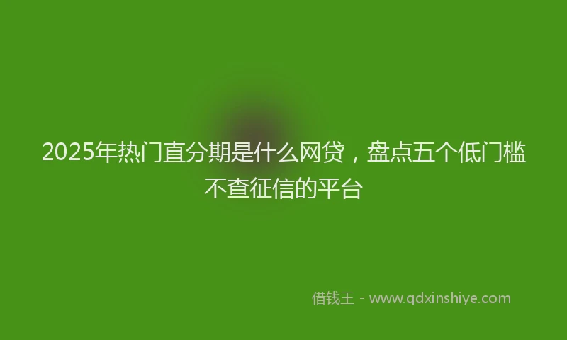 2025年热门直分期是什么网贷，盘点五个低门槛不查征信的平台