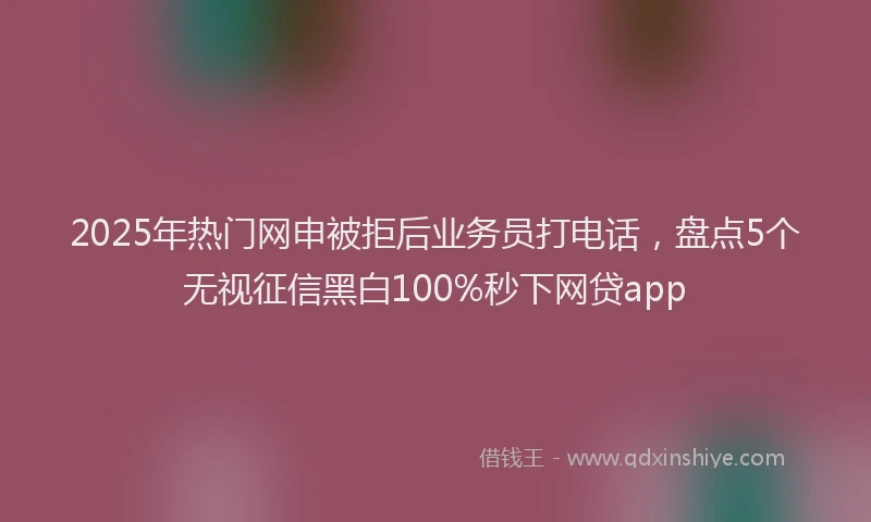 2025年热门网申被拒后业务员打电话，盘点5个无视征信黑白100%秒下网贷app