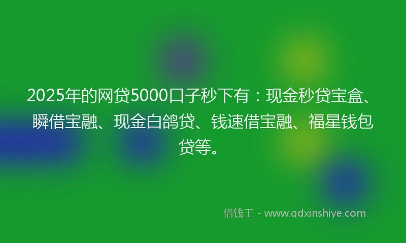 2025年的网贷5000口子秒下有：现金秒贷宝盒、瞬借宝融、现金白鸽贷、钱速借宝融、福星钱包贷等。