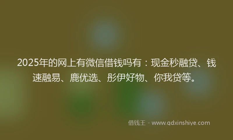 2025年的网上有微信借钱吗有：现金秒融贷、钱速融易、鹿优选、彤伊好物、你我贷等。