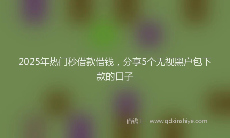 2025年热门秒借款借钱，分享5个无视黑户包下款的口子