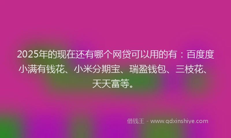 2025年的现在还有哪个网贷可以用的有：百度度小满有钱花、小米分期宝、瑞盈钱包、三枝花、天天富等。