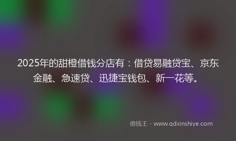 2025年的甜橙借钱分店有：借贷易融贷宝、京东金融、急速贷、迅捷宝钱包、新一花等。